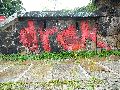 Graffitis-Schriften und Blütenfarben