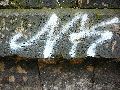 Graffitis-Schriften und Blütenfarben