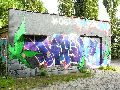 Graffitis-Schriften und Blütenfarben