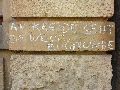Graffitis-Schriften und Blütenfarben