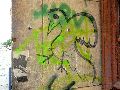Graffitis-Schriften und Blütenfarben