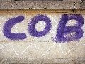 Graffitis-Schriften und Blütenfarben