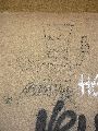 Graffitis-Schriften und Blütenfarben