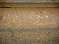 Graffitis-Schriften und Blütenfarben