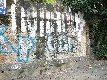 Graffitis-Schriften und Blütenfarben