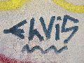 Graffitis-Schriften und Blütenfarben