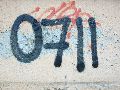 Graffitis-Schriften und Blütenfarben