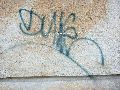 Graffitis-Schriften und Blütenfarben