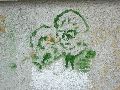 Graffitis-Schriften und Blütenfarben