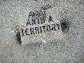 Graffitis-Schriften und Blütenfarben