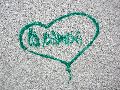 Graffitis-Schriften und Blütenfarben
