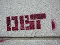 Graffitis-Schriften und Blütenfarben