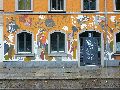 Graffitis-Schriften und Blütenfarben
