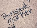 Graffitis-Schriften und Blütenfarben