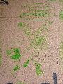 Graffitis-Schriften und Blütenfarben