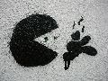 Graffitis-Schriften und Blütenfarben