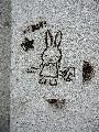 Graffitis-Schriften und Blütenfarben