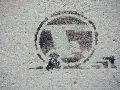 Graffitis-Schriften und Blütenfarben