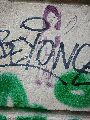 Graffitis-Schriften und Blütenfarben