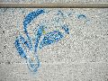 Graffitis-Schriften und Blütenfarben