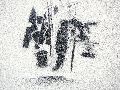 Graffitis-Schriften und Blütenfarben