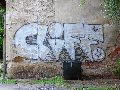 Graffitis-Schriften und Blütenfarben