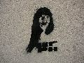 Graffitis-Schriften und Blütenfarben