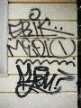 Graffitis-Schriften und Blütenfarben