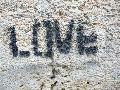 Graffitis-Schriften und Blütenfarben