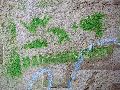 Graffitis-Schriften und Blütenfarben