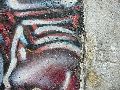 Graffitis-Schriften und Blütenfarben