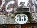 Graffitis-Schriften und Blütenfarben