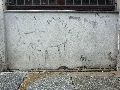 Graffitis-Schriften und Blütenfarben
