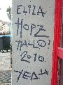 Graffitis-Schriften und Blütenfarben