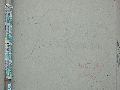 Graffitis-Schriften und Blütenfarben