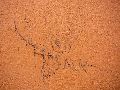 Graffitis-Schriften und Blütenfarben