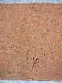 Graffitis-Schriften und Blütenfarben