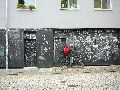 Graffitis-Schriften und Blütenfarben