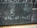 Graffitis-Schriften und Blütenfarben