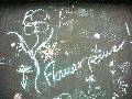 Graffitis-Schriften und Blütenfarben