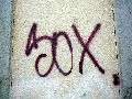 Graffitis-Schriften und Blütenfarben