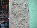 Graffitis-Schriften und Blütenfarben