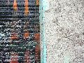 Graffitis-Schriften und Blütenfarben