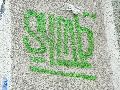 Graffitis-Schriften und Blütenfarben