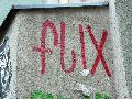 Graffitis-Schriften und Blütenfarben