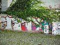 Graffitis-Schriften und Blütenfarben