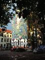 Graffitis-Schriften und Blütenfarben