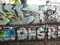 Graffitis-Schriften und Blütenfarben