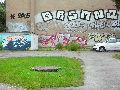 Graffitis-Schriften und Blütenfarben