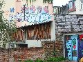 Graffitis-Schriften und Blütenfarben